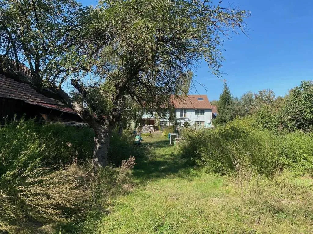 WEINVIERTEL - nur 44km bis Wien: GEMEINSAM wohnen im Mehrfamilienhaus mit großem Garten, viel Potential und freier Baufläche - Ansicht 2