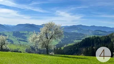 Haus kaufen in Scheibbs – 114 m², € 397.842 – Bild 3 von 7