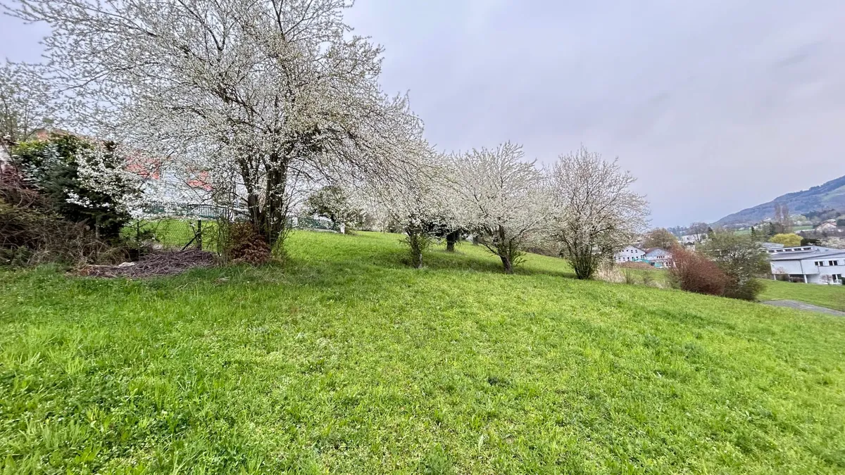 SONNIGES BAUGRUNDSTÜCK IM ZENTRUM VON ST. ULRICH BEI STEYR - 784 m² oder 1.112 m² - Ansicht 3