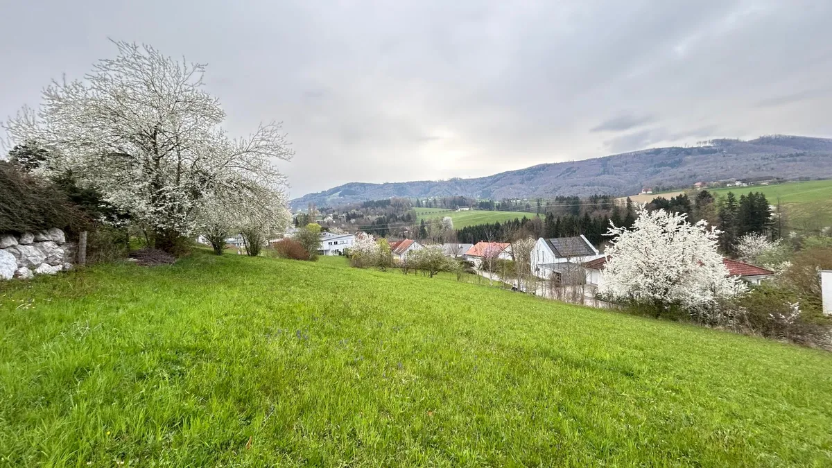 SONNIGES BAUGRUNDSTÜCK IM ZENTRUM VON ST. ULRICH BEI STEYR - 784 m² oder 1.112 m² - Ansicht 2