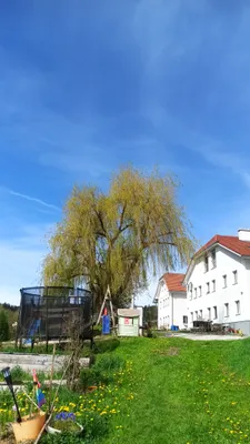 3-Zimmer-Wohnung mieten in Freistadt – 84 m², € 835 – Bild 1 von 16