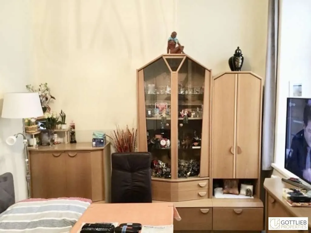 Anlagewohnung bei Volksoper! Befristet vermietete 2-Zimmer-Wohnung in Hofruhelage - Ansicht 2