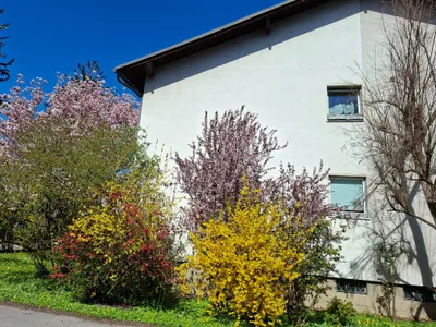 2-Zimmer-Wohnung kaufen in Wien – 51 m², € 369.000 – Bild 4 von 19