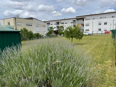 Grundstück kaufen in Neusiedl am See – 688 m², € 380.000 – Bild 2 von 6