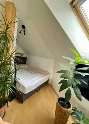 1-Zimmer-Wohnung mieten in Salzburg-Umgebung – 40 m², € 990 – Bild 9 von 17