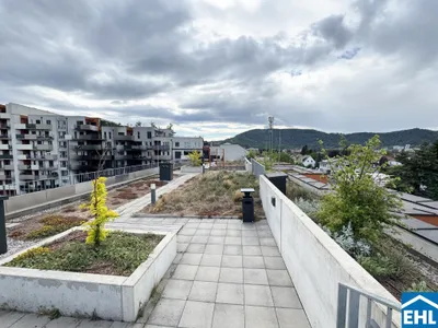 2-Zimmer-Wohnung mieten in Graz – 32,44 m², € 549 – Bild 8 von 11