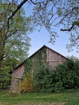 Wohnung mieten in Voitsberg – 68 m², € 354 – Bild 14 von 34