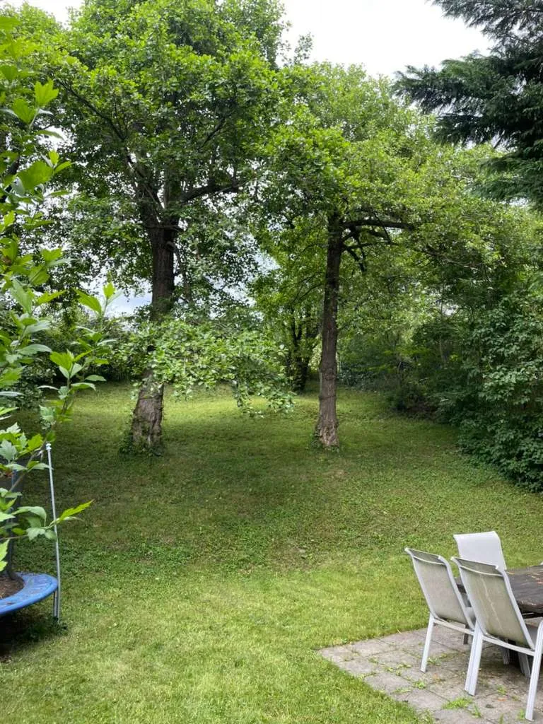 Bestlage in Weidlingbach; renoviertes Landhaus auf Eigengrund, Baugrund, mit grossem Wintergarten und herrlichem Altbaumbestand - Ansicht 3
