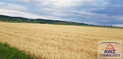 Grundstück kaufen in Amstetten – 13 500 m²