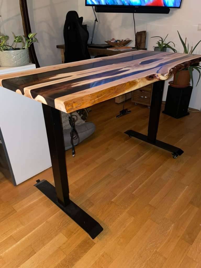 glückskastanie pflanze Glückskastanie (Pachira aquatica) kaufen main image 0