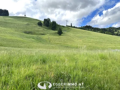 Grundstück kaufen in Zell am See – 700 m² – Bild 2 von 6