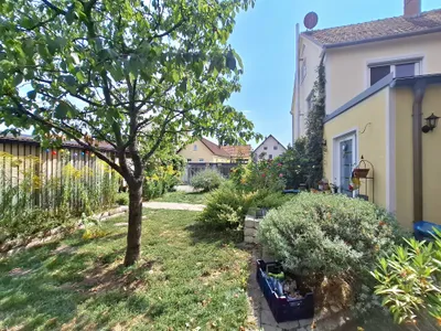 5-Zimmer-Haus kaufen in Neunkirchen – 220 m², € 449.000 – Bild 12 von 43