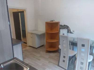Wohnung mieten in Murtal – 41 m², € 350 – Bild 5 von 16