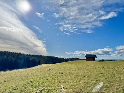 Grundstück kaufen in Graz-Umgebung – 782 m², € 117.000 – Bild 10 von 12