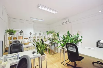 Gewerbeimmobilie mieten in Wien – 49 m² – Bild 6 von 11
