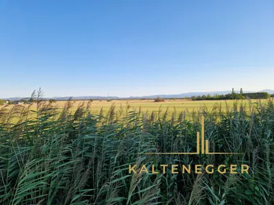 Grundstück kaufen in Wiener Neustadt Land – 2 169 m², € 168.000 – Bild 5 von 12