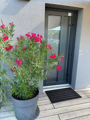 2-Zimmer-Haus kaufen in Mattersburg – 60 m², € 255.000 – Bild 10 von 27