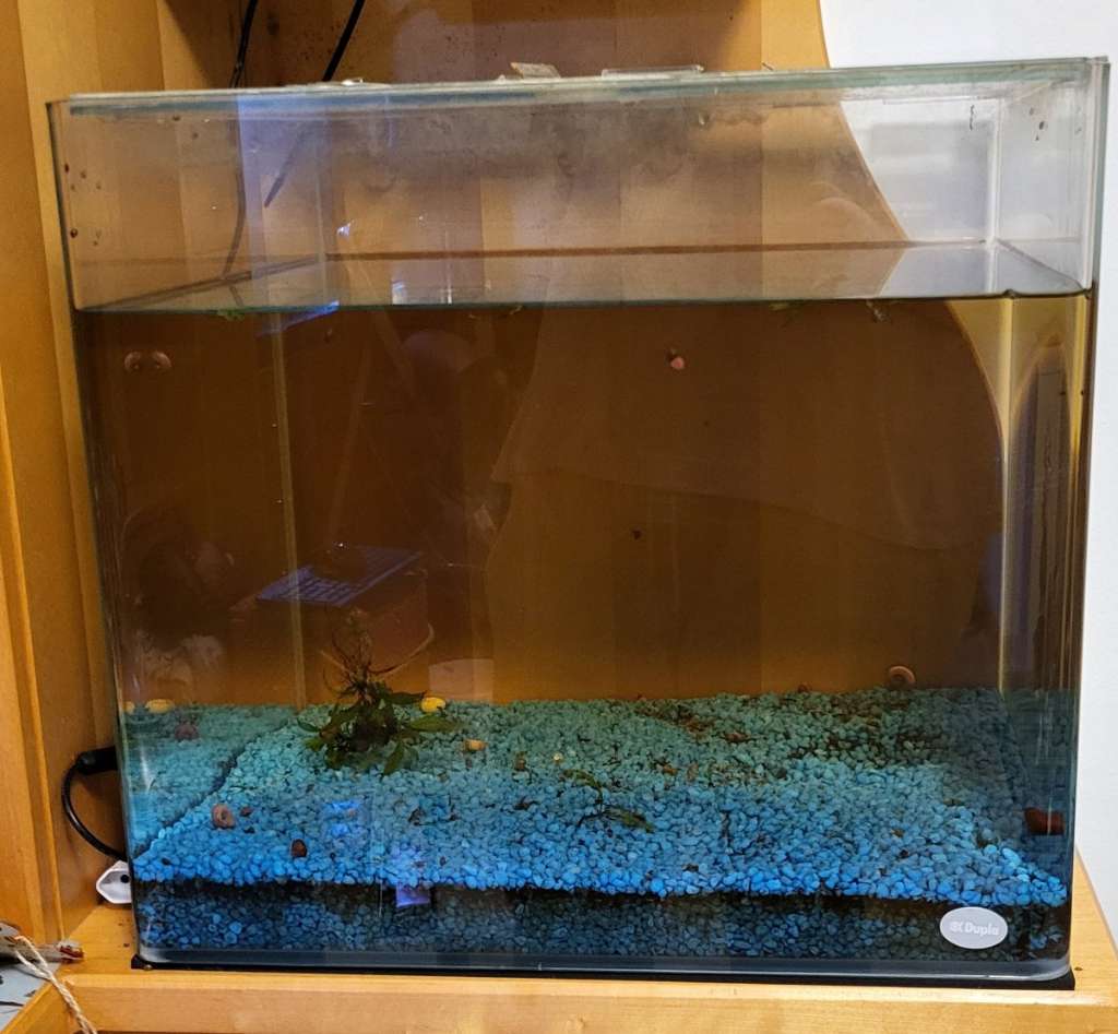 Aquarium, online Rochenbecken, gebraucht guter Zustand