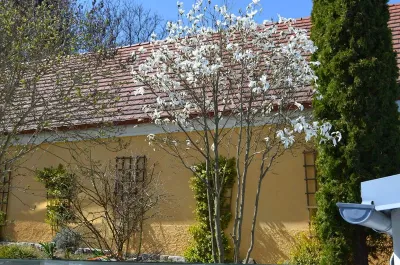 8-Zimmer-Immobilie kaufen in Waidhofen an der Thaya – 250 m², € 650.000 – Bild 63 von 84