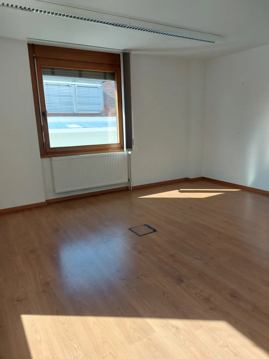 Büro, Ordination in Eisenstadt - Stadtzentrum - Ansicht 2