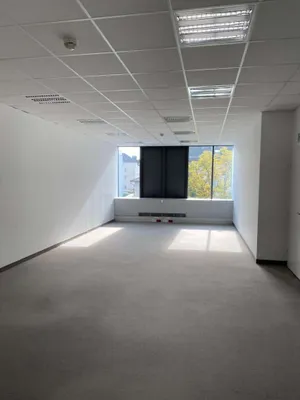 Gewerbeimmobilie mieten in Wels – 266 m², € 3.299 – Bild 4 von 18