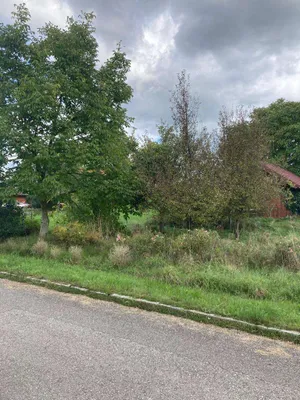 Grundstück kaufen in Gmunden – 1 084 m², € 529.500 – Bild 6 von 16