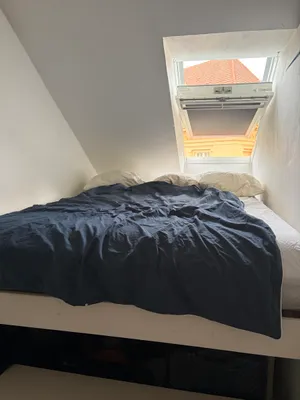1-Zimmer-Wohnung mieten in Graz – 33 m², € 530 – Bild 4 von 8