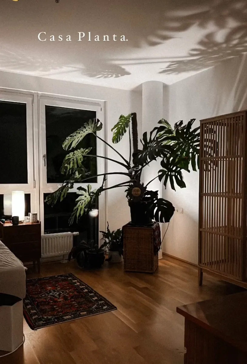 Wohnung – Linz - Ansicht 3