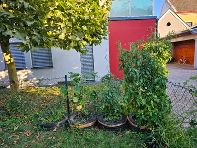 2-Zimmer-Wohnung mieten in Bruck an der Leitha – 53 m², € 874 – Bild 23 von 33