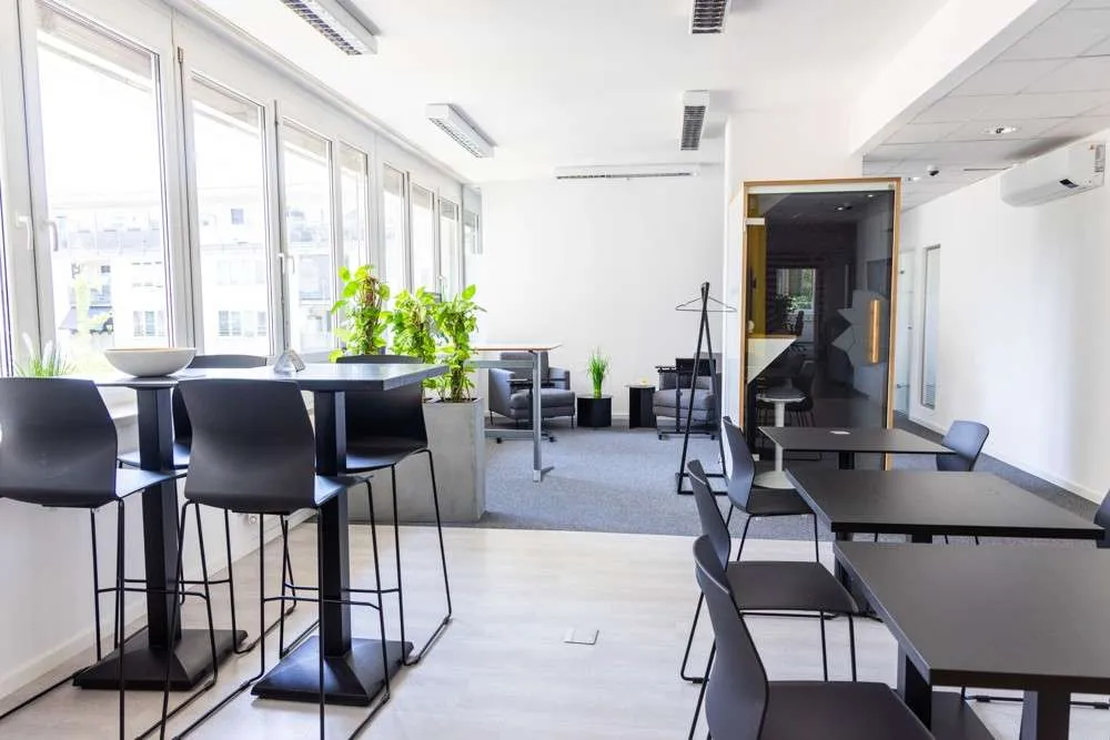 Büroflächen und Co-working - Anton-Baumgartner-Straße 125, 1230 Wien! - Widok 3