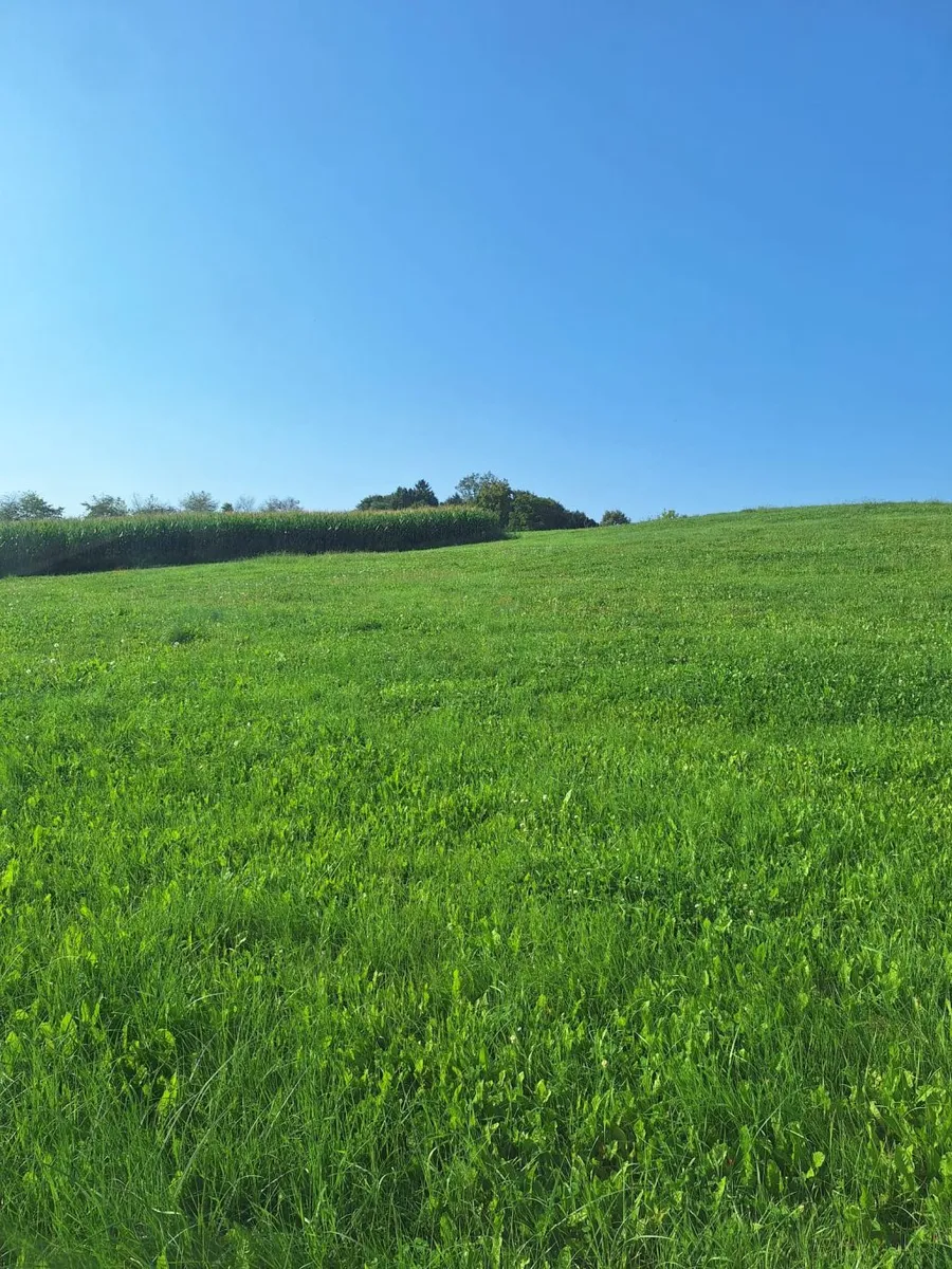 Grundstück, 729 m²