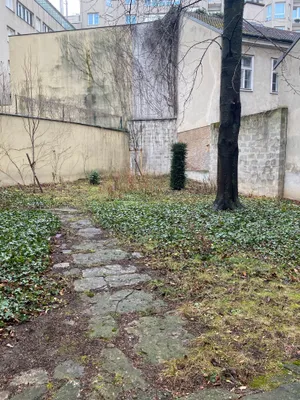 2-Zimmer-Wohnung mieten in Wien – 38 m², € 950 – Bild 53 von 54