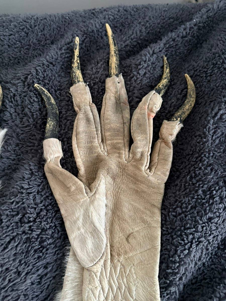 dope handschuhe NeoN iCoN Gloves Tropical Teleportation Edition 🌴 – DALE DAN TONY main image 0