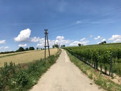 Immobilie kaufen in Hollabrunn – 45 m², € 36.000 – Bild 16 von 17
