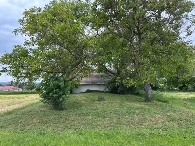 Immobilie kaufen in Hollabrunn – 45 m², € 36.000 – Bild 9 von 17