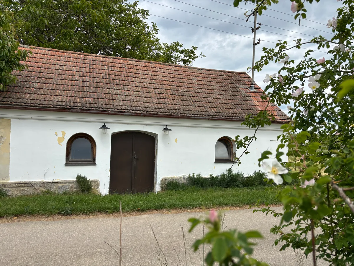 Haus – Roseldorf - Ansicht 3