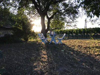 Immobilie kaufen in Hollabrunn – 45 m², € 36.000 – Bild 5 von 17
