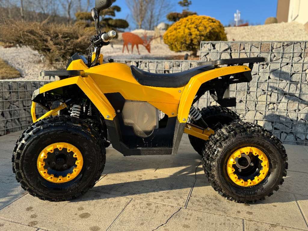 Goliath 1.1 ATV Elektro Quad Modell 25km/h 2 Personenzulassug Made in Austria Quad