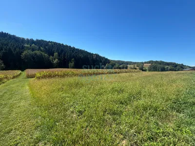 Grundstück kaufen in Weiz – 2 000 m², € 179.000 – Bild 3 von 4