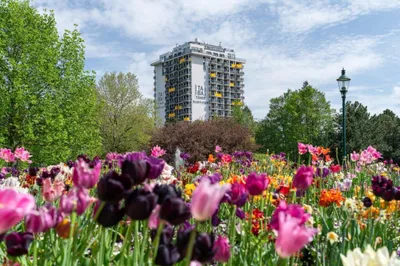 Immobilie kaufen in Wien – 32 m², € 254.000 – Bild 4 von 20