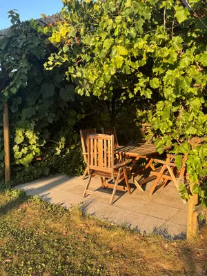 3-Zimmer-Haus mieten in Südoststeiermark – 118 m², € 1.200 – Bild 9 von 32