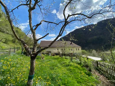 Immobilie kaufen in Steyr-Land – 480 m², € 570.000 – Bild 8 von 37