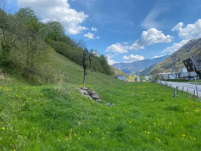 Immobilie kaufen in Steyr-Land – 480 m², € 570.000 – Bild 34 von 37