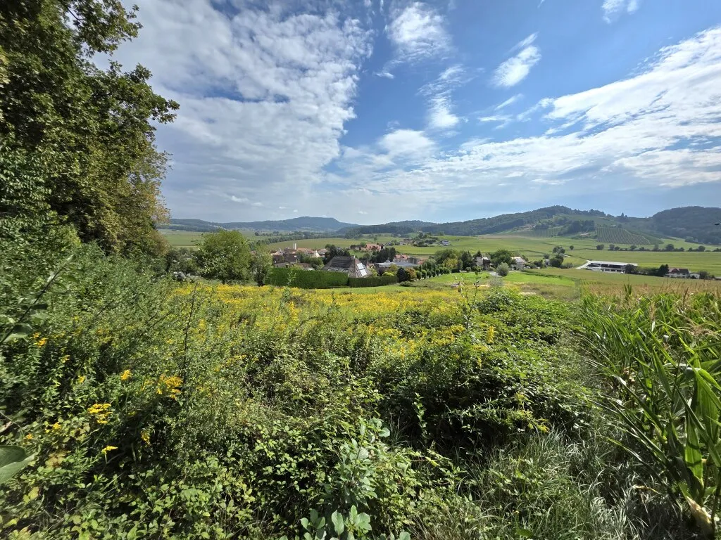 Ruhiges Baugrundstück in schöner Lage! Einreichplan inklusive! - Ansicht 2