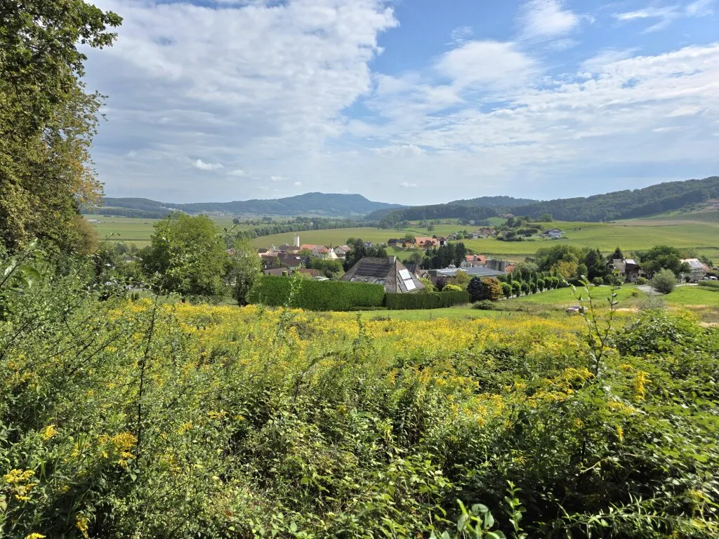 Ruhiges Baugrundstück in schöner Lage! Einreichplan inklusive! - Ansicht 3