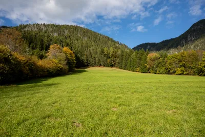 Immobilie kaufen in Villach Land – 240 m², € 980.000 – Bild 30 von 66