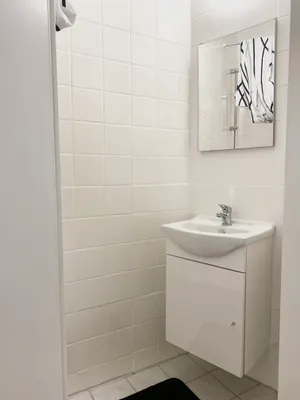 Wohnung mieten in Wien – 33 m², € 550 – Bild 11 von 15