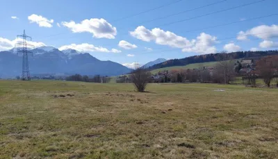 Grundstück kaufen in Leoben – 1 587 m², € 75.000 – Bild 5 von 8