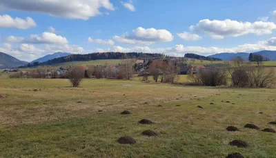 Grundstück kaufen in Leoben – 1 587 m², € 75.000 – Bild 8 von 8