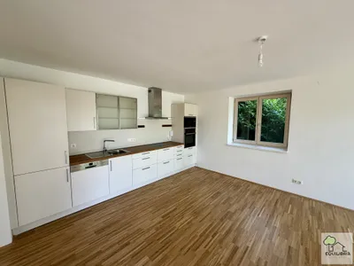 Traumhafte 3-Zimmer-Wohnung in 1230 Wien mit Terrasse und kleiner Grünfläche ! – Bild 3